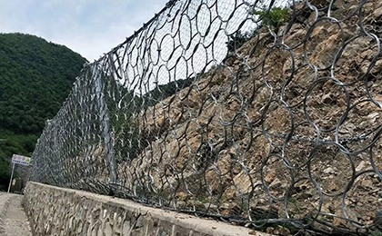 環(huán)形網(wǎng)