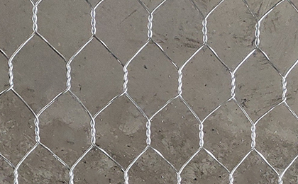 石籠網(wǎng)