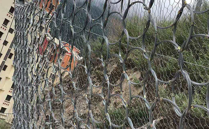 環(huán)形網(wǎng)案例